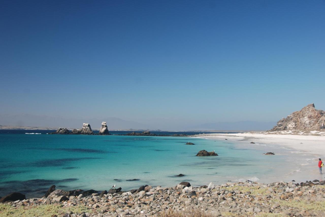 Cabanas Las Hualas Punta de Choros Exteriör bild