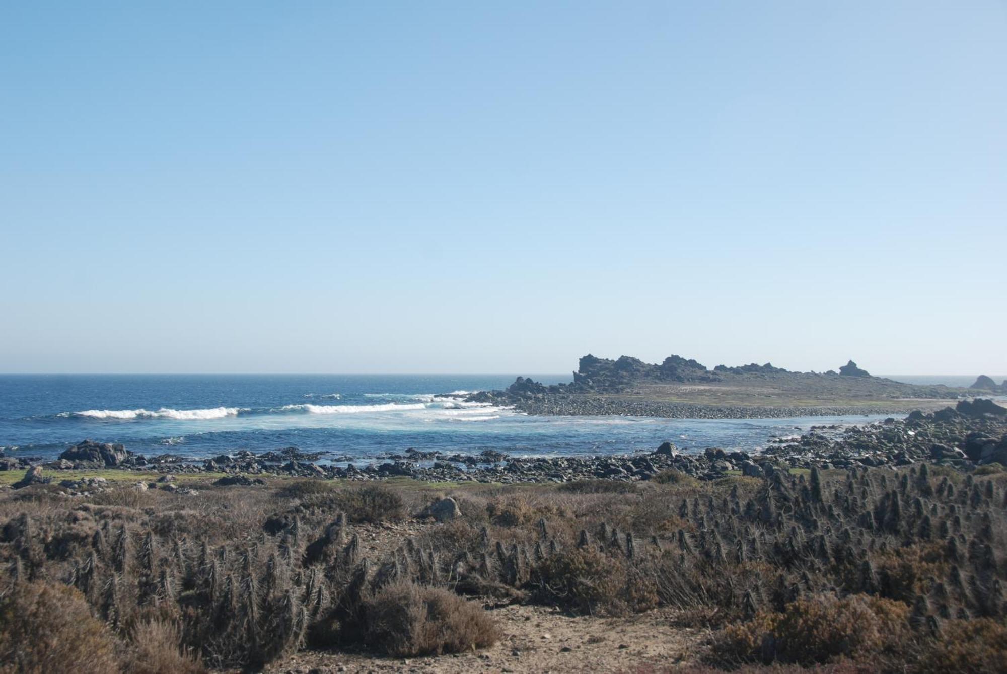 Cabanas Las Hualas Punta de Choros Exteriör bild